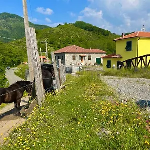 holiday-nature-home-colle-del-faggio.hotelitalianriviera.com/